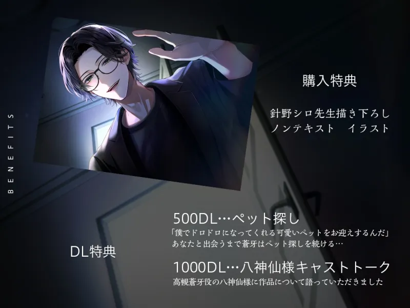 本文説明画像