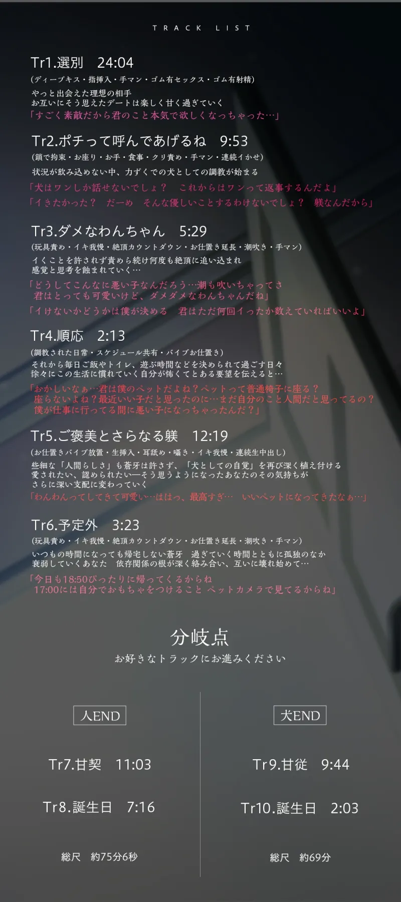 本文説明画像