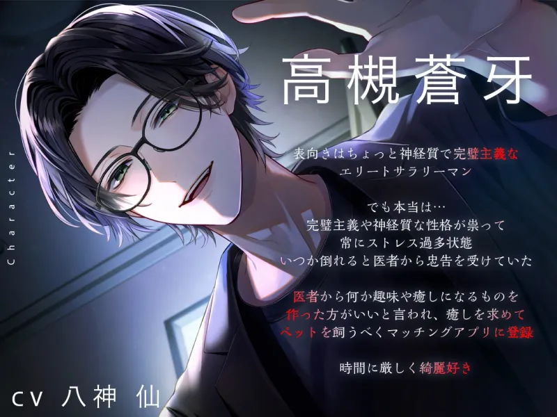 本文説明画像