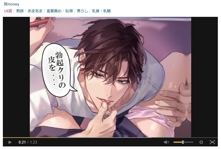 本文説明画像