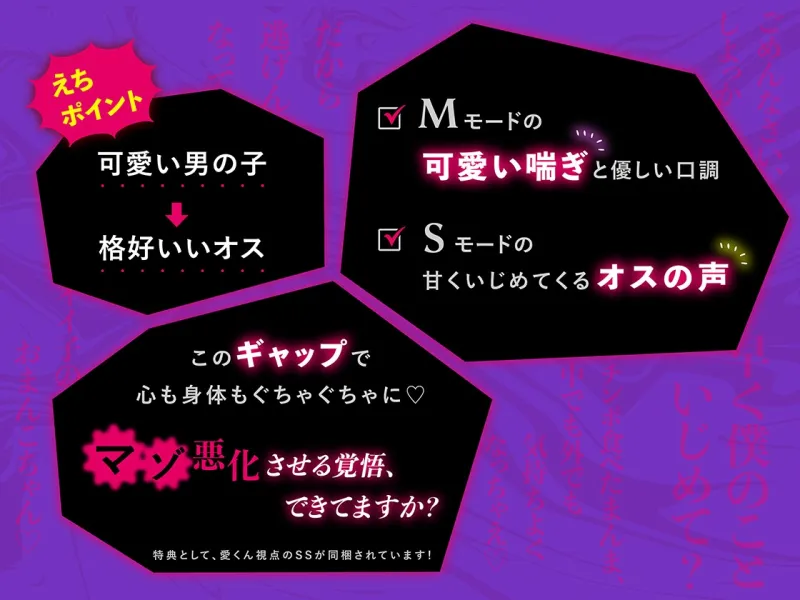 本文説明画像