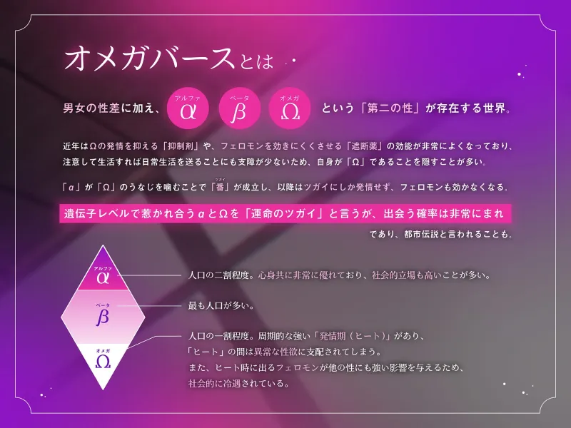本文説明画像