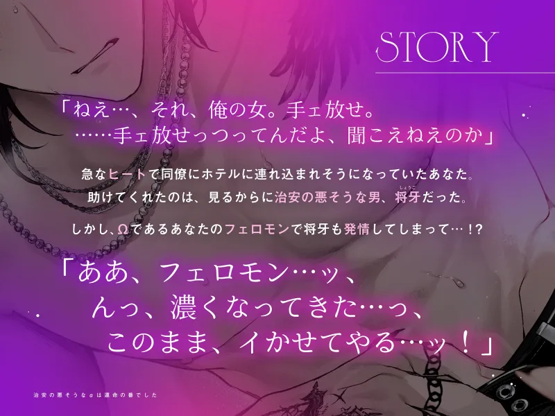 本文説明画像