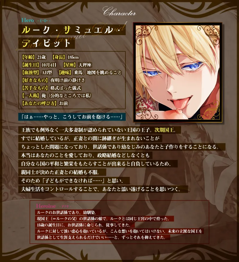 本文説明画像