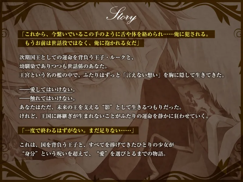 本文説明画像