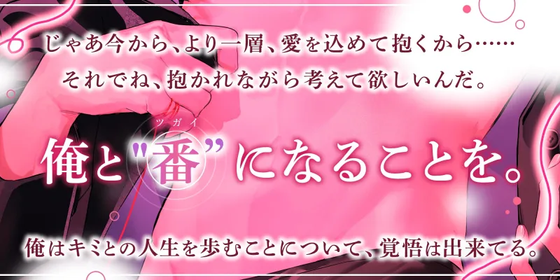 本文説明画像