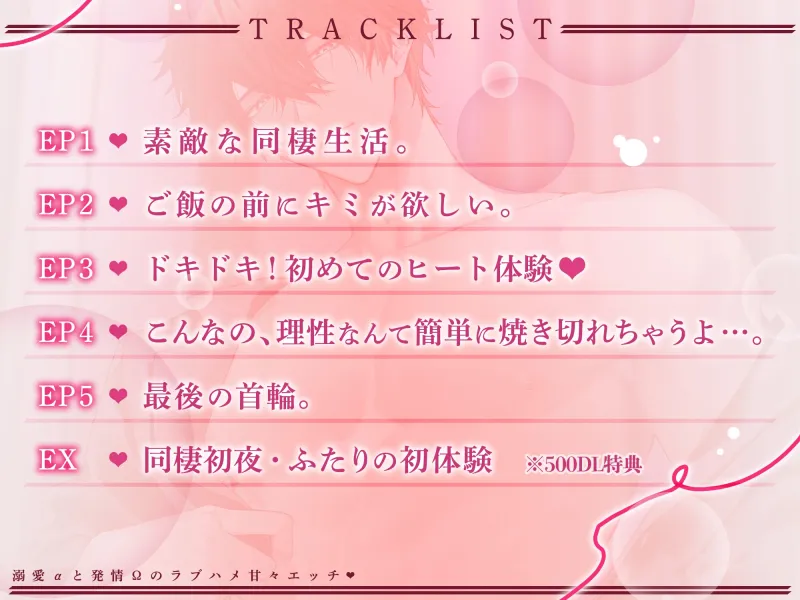 本文説明画像