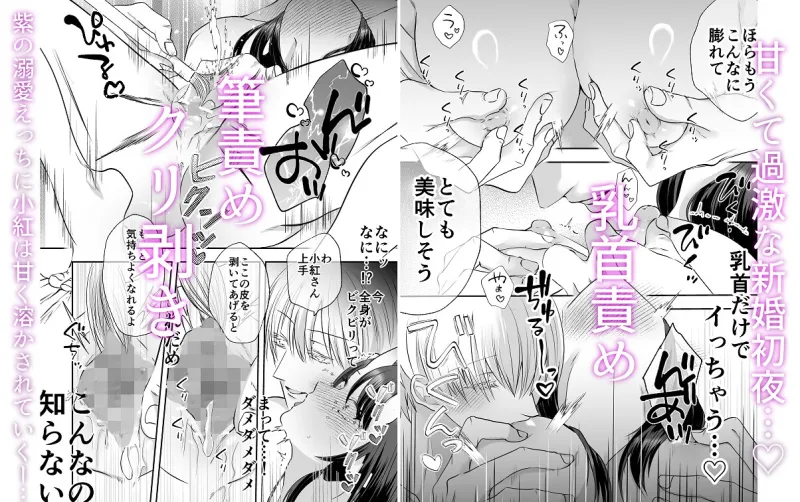 引き篭もり鬼姫様は押しかけ旦那に溺愛される