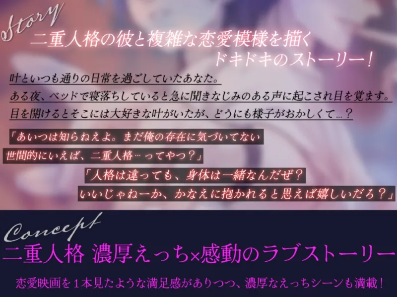 本文説明画像