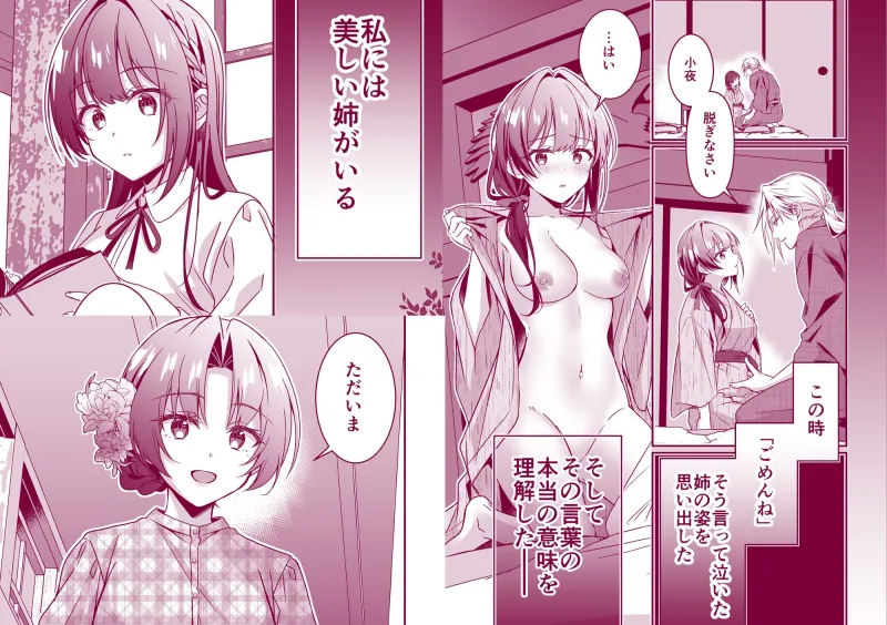 姉の代わりに嫁いだ私を孕ませて下さい