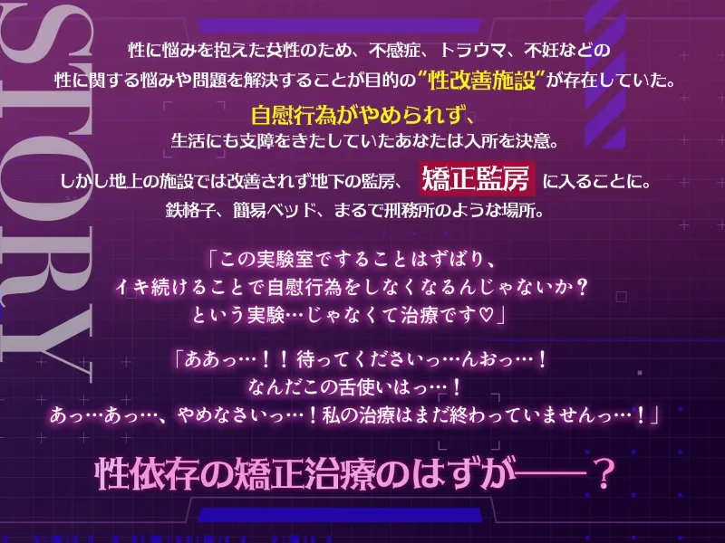 本文説明画像
