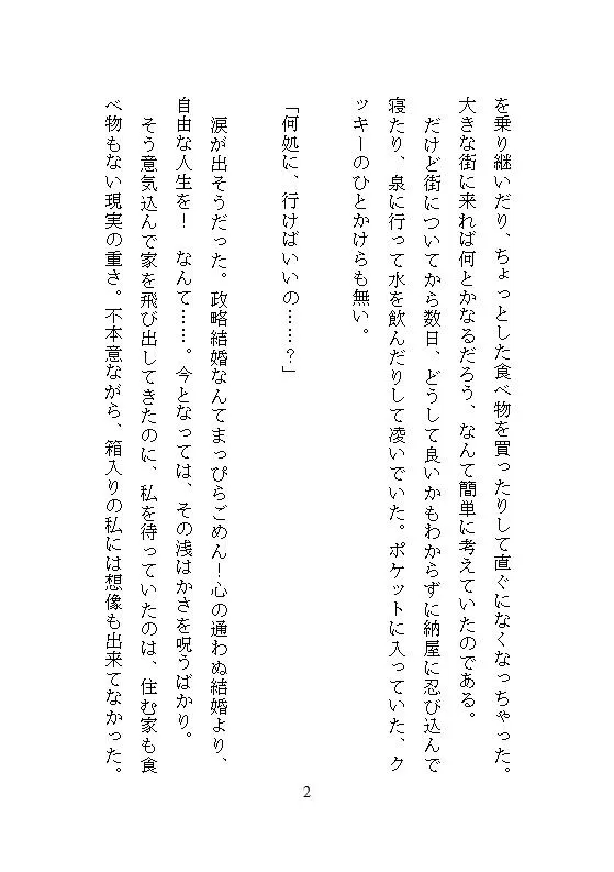 性○問器具を作るイケメン武器屋に拾われた男爵令嬢、毎夜ごとの地下室で連続絶頂を繰り返し快楽に堕ち壊されていく