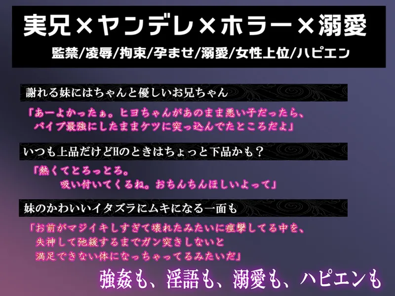 本文説明画像