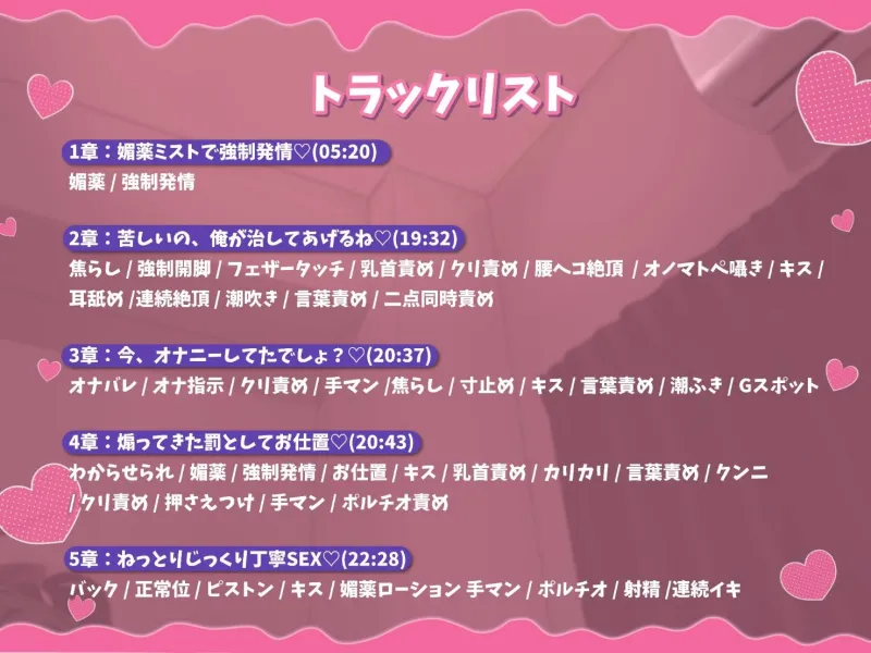 本文説明画像