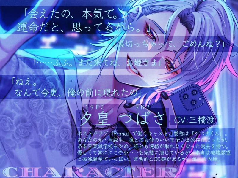 本文説明画像