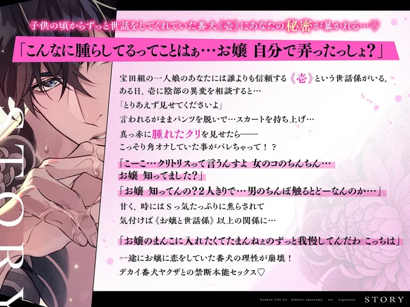 本文説明画像