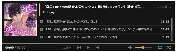 本文説明画像