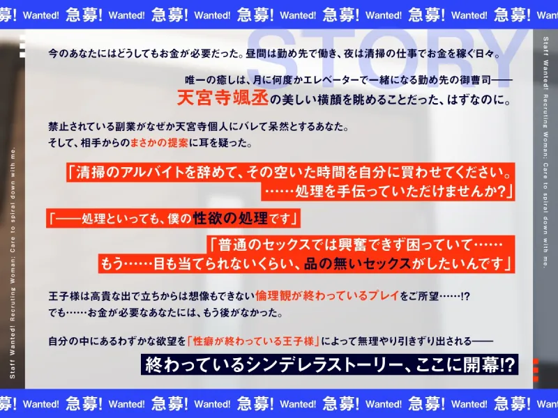 本文説明画像