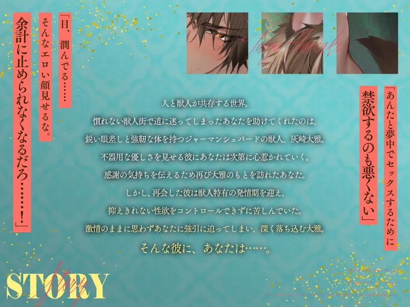 本文説明画像
