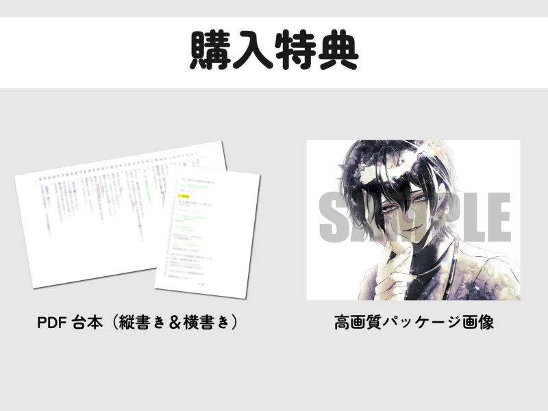 本文説明画像