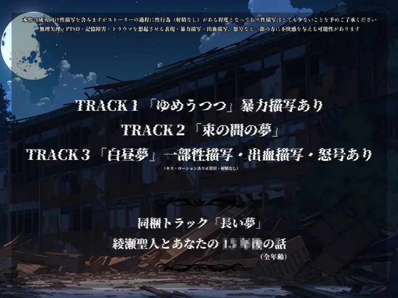 本文説明画像