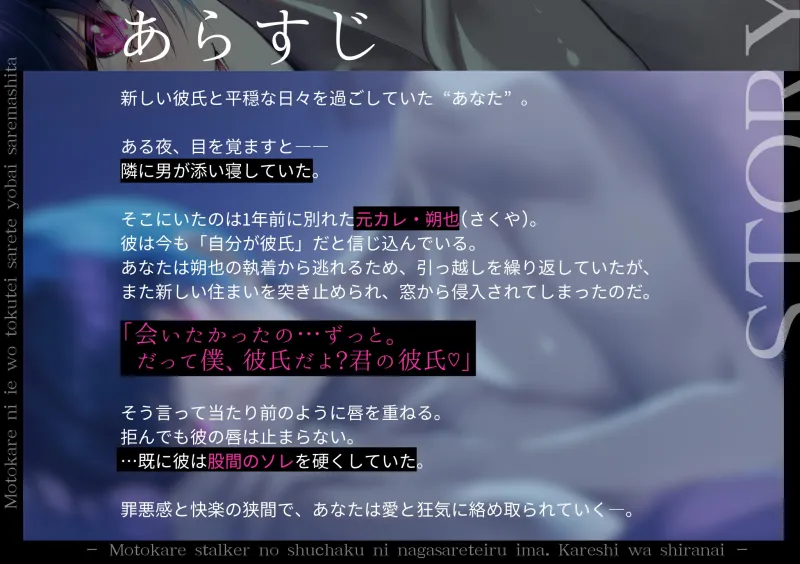 本文説明画像