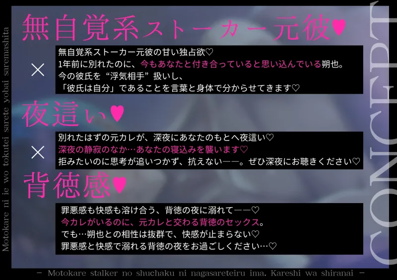 本文説明画像