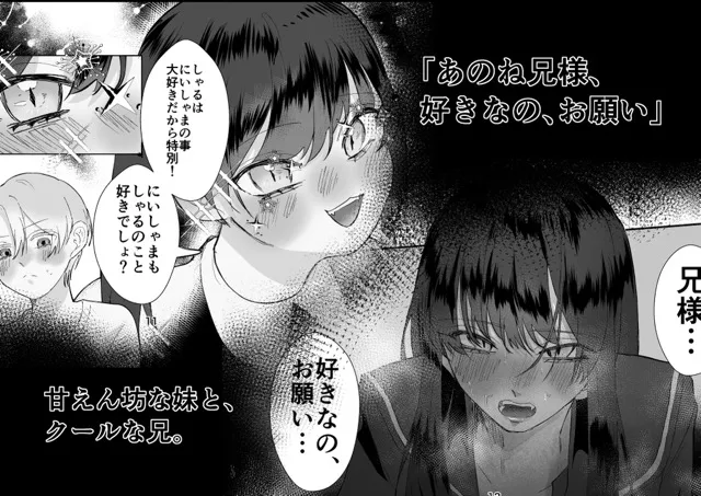 本文説明画像