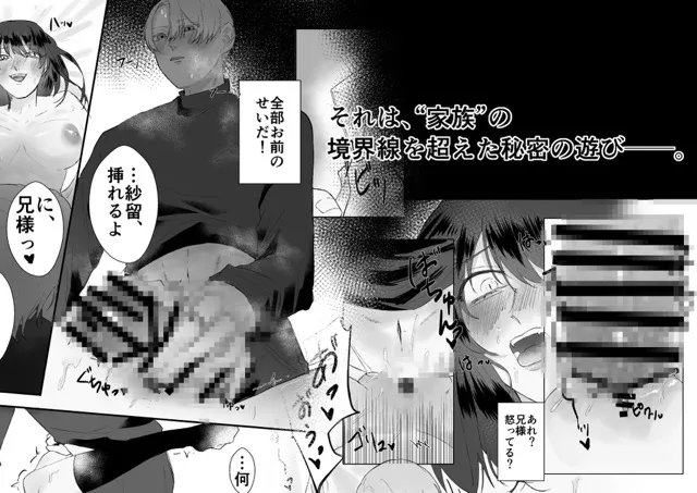 本文説明画像