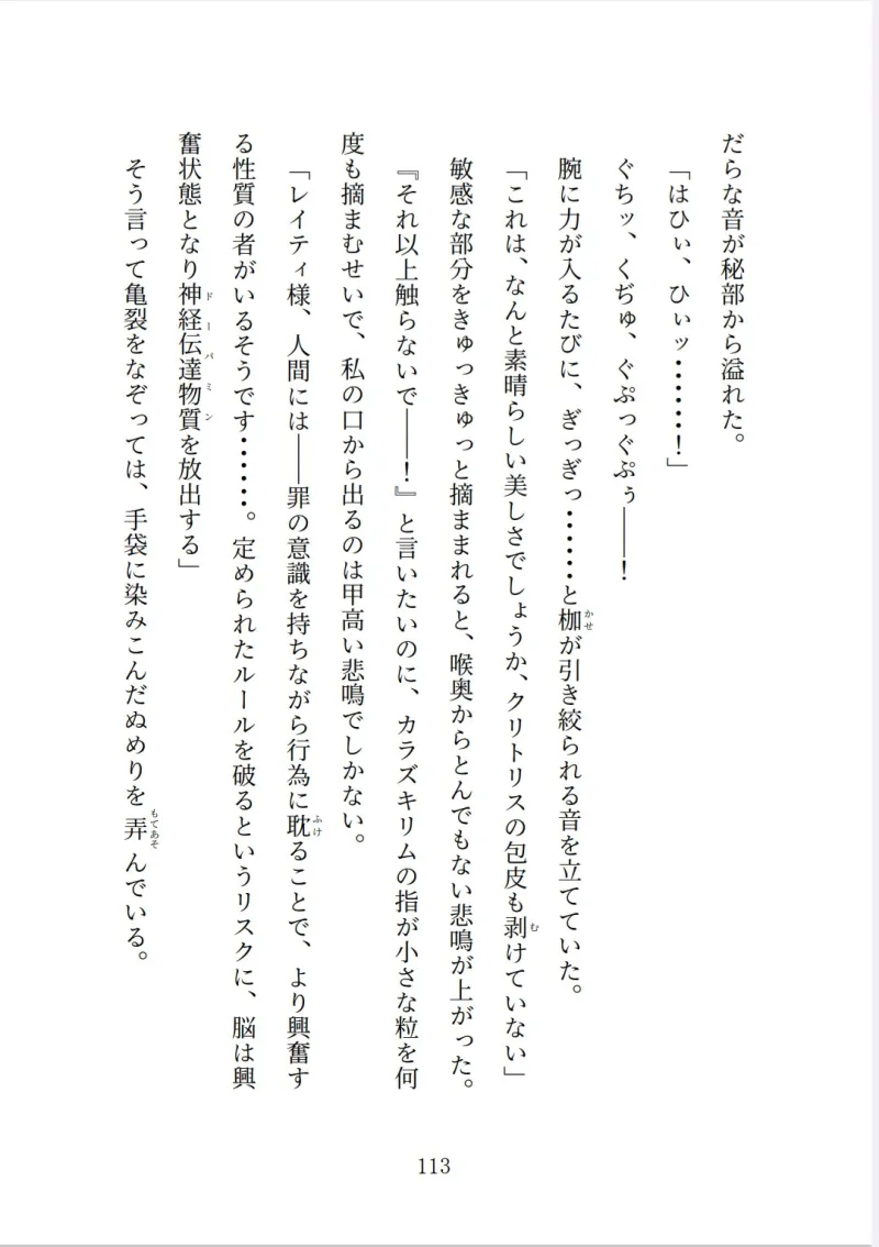 老魔王様の執愛に溺れたい～悠久の瑠璃星～