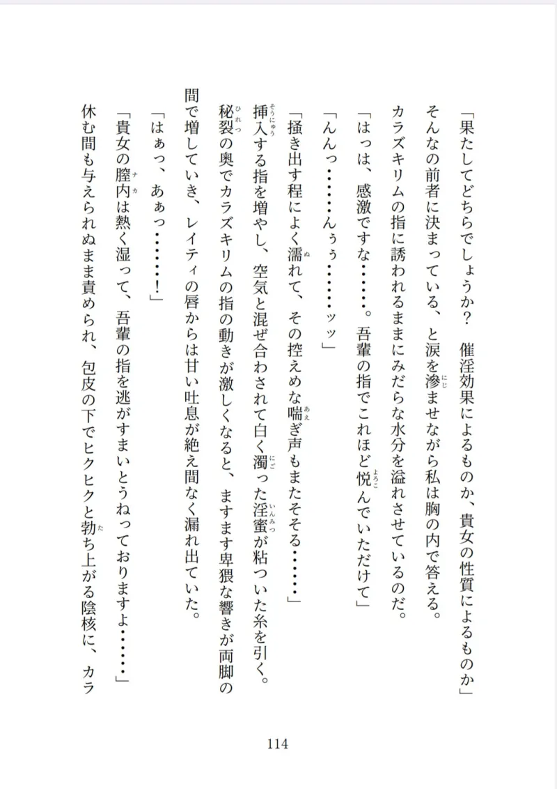 老魔王様の執愛に溺れたい～悠久の瑠璃星～