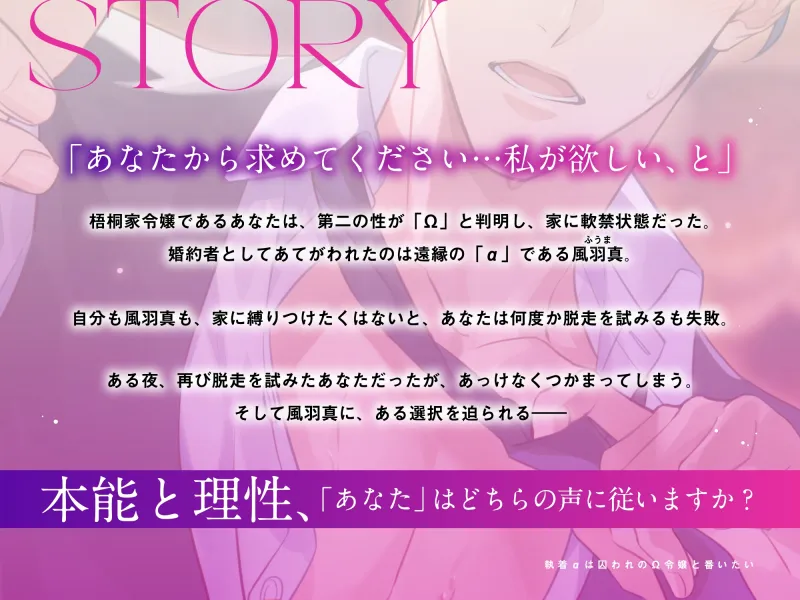 本文説明画像