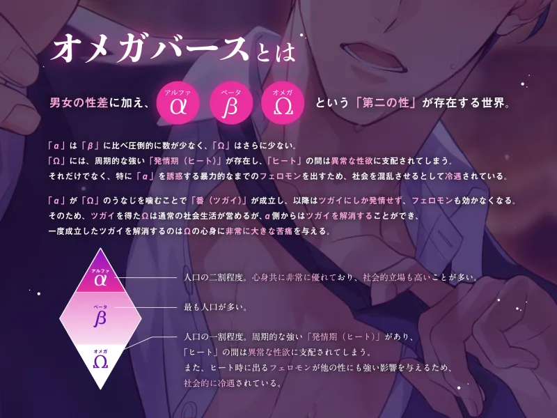 本文説明画像