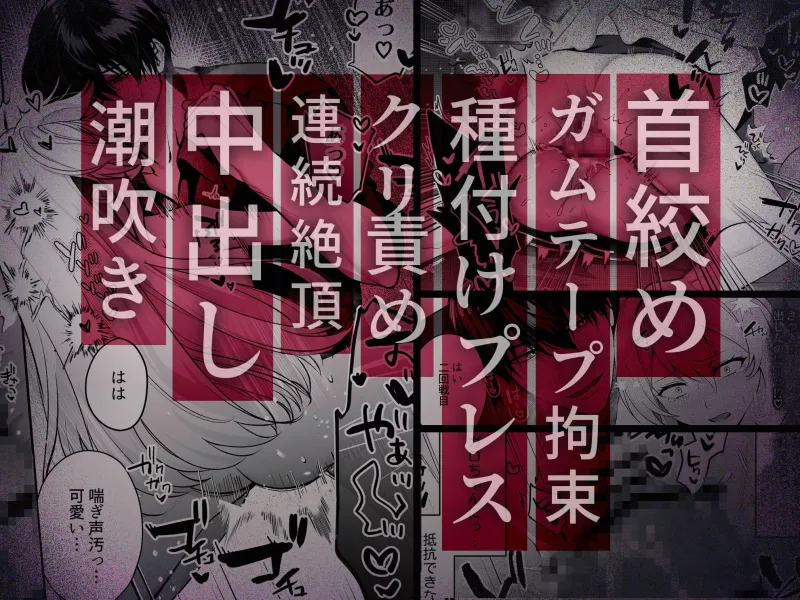 Deadly Drip～激重で病的で責めがうまい殺し屋の相棒が私を死ぬほど犯してくる～