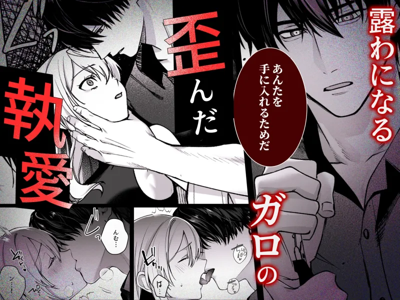 Deadly Drip～激重で病的で責めがうまい殺し屋の相棒が私を死ぬほど犯してくる～