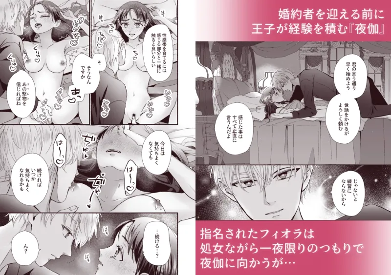 王子の夜伽は終わらない 王子の夜伽は終わらない