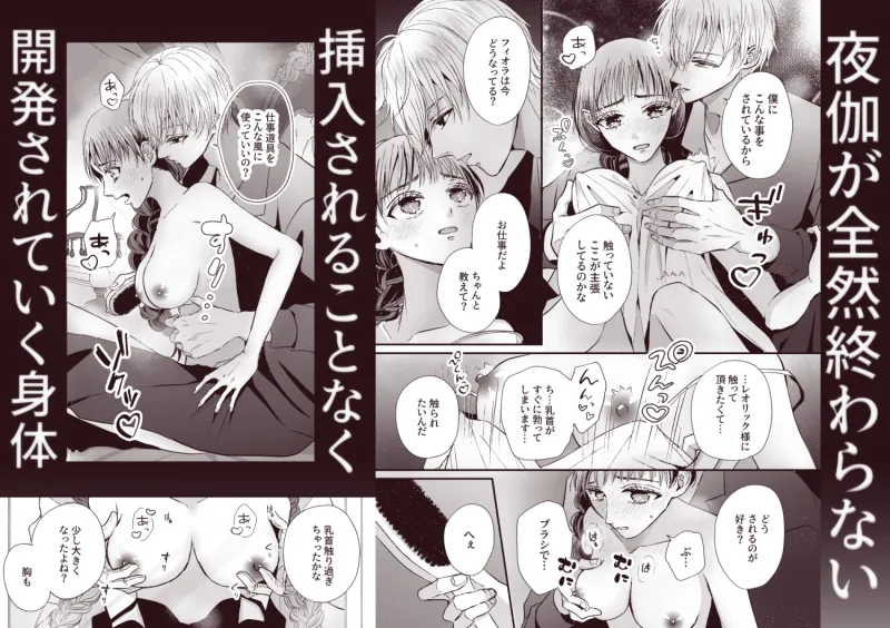 王子の夜伽は終わらない 王子の夜伽は終わらない