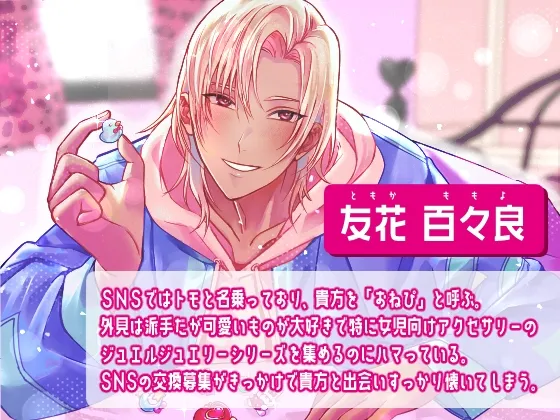 本文説明画像