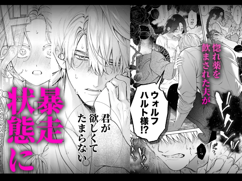 惚れ薬で豹変した最強騎士の暴走が止まりません!