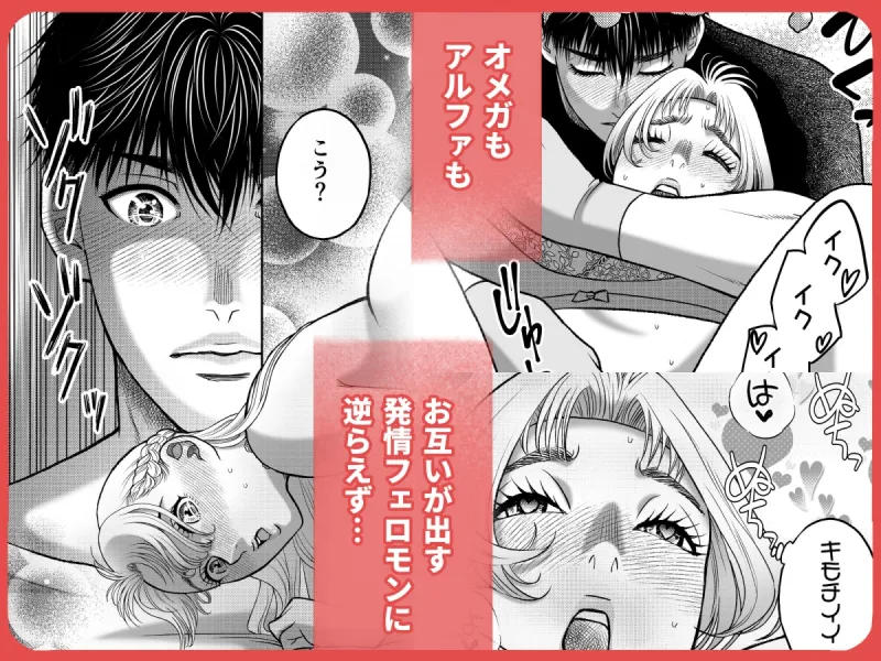 私の婚約者が陰キャαで推しの弟でした1 私の婚約者が陰キャαで推しの弟でした1