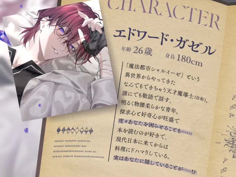 異世界トリップしてきた天才魔導士を拾ったら、知らない間に溺愛されて囲われました。