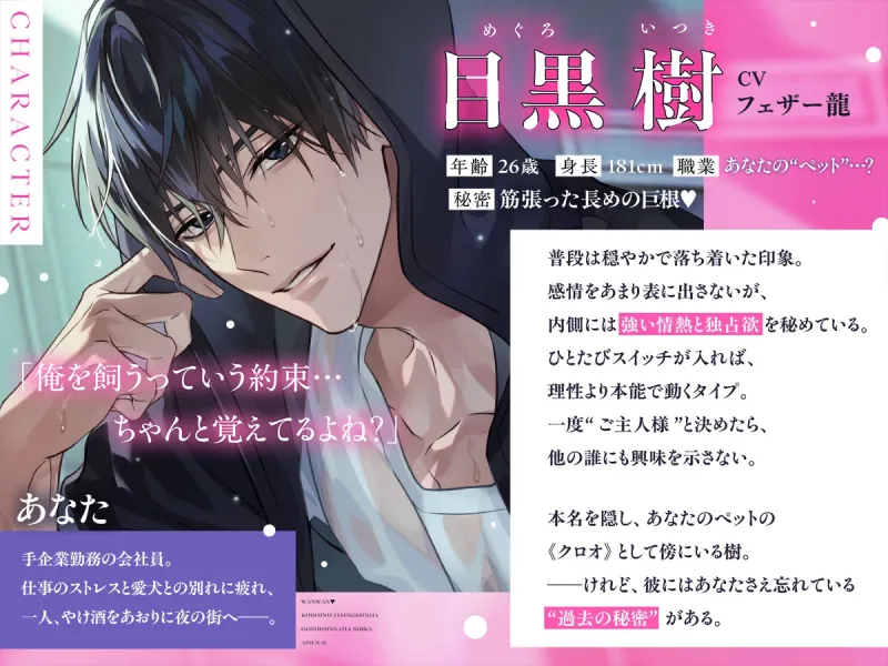 【甘メロHシーン92%超！ずぅ～っと挿れられたまま愛され続ける♡】わんわん♡黒犬いつき君は、ご主人様しか愛せない。【ポルチオ開発×連続アクメ×恋人ペット調教】