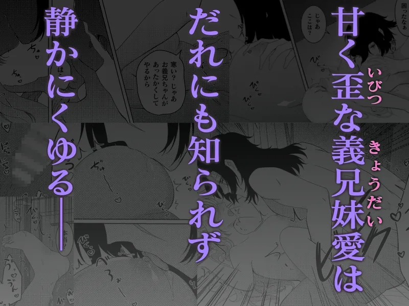 陽の翳りと燃ゆる灰～引きこもりお嬢様、ヤンデレ義兄に囲われる～