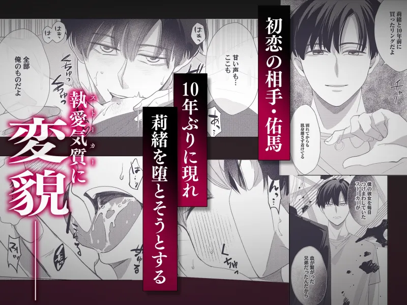 雨宮兄弟の歪んだ溺愛~執着ドクターと堕ちる共依存交尾~ 雨宮兄弟の歪んだ溺愛~執着ドクターと堕ちる共依存交尾~