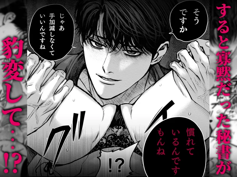 寡黙秘書君に毎晩抱かれています