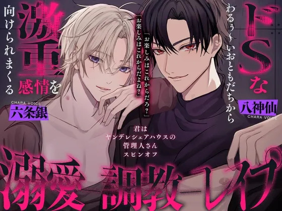 わるぅ〜いお兄さん達から激ヤバ感情を向けられる溺愛絶倫レイプ〜君はヤンデレシェアハウスの管理人さんスピンオフ〜