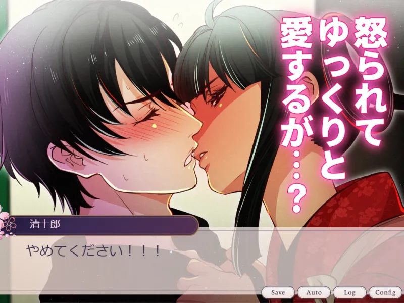 毎日襲って怒られたので5日間かけてゆっくり愛しました【ゲーム版】