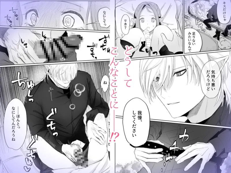 姫様は初恋騎士しか欲しがらない