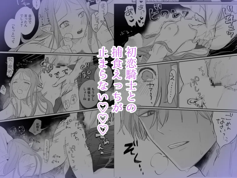 姫様は初恋騎士しか欲しがらない