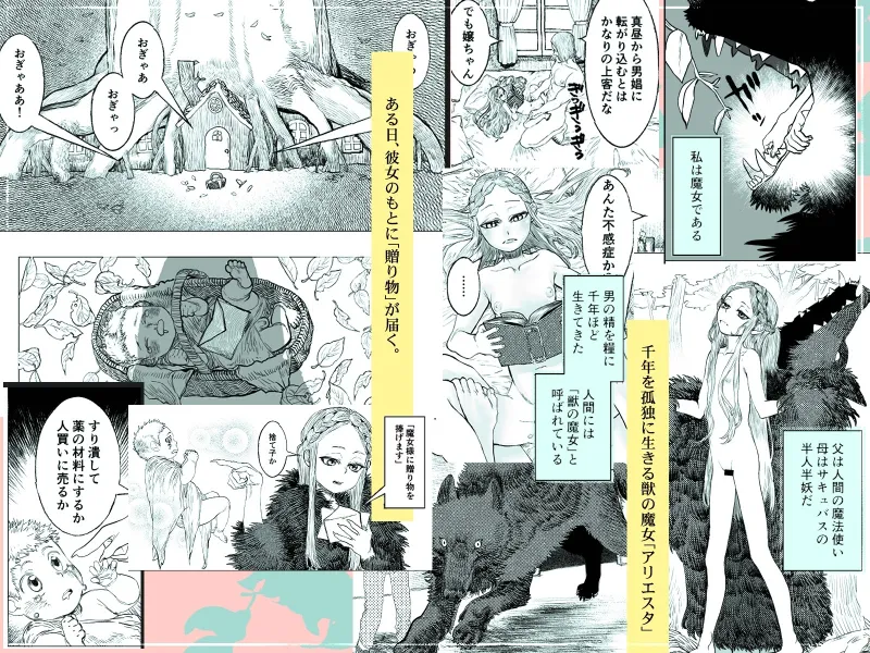 獣の魔女が抱く恋と加護